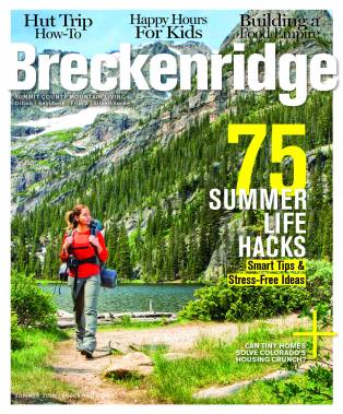 BRECK SUMMER COVER